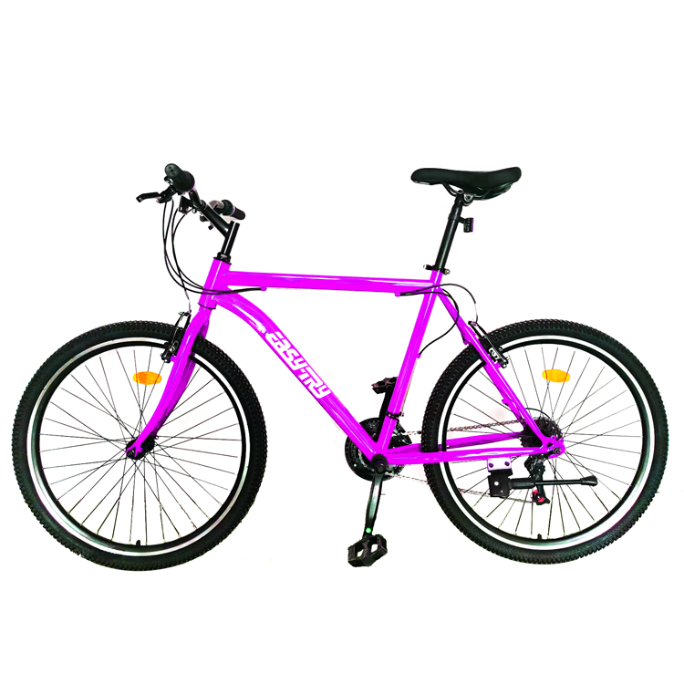Bicicletta da Montagna in Acci - Cycling Gears recensione e prezzo
